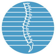 Chiropractic Endorsed
